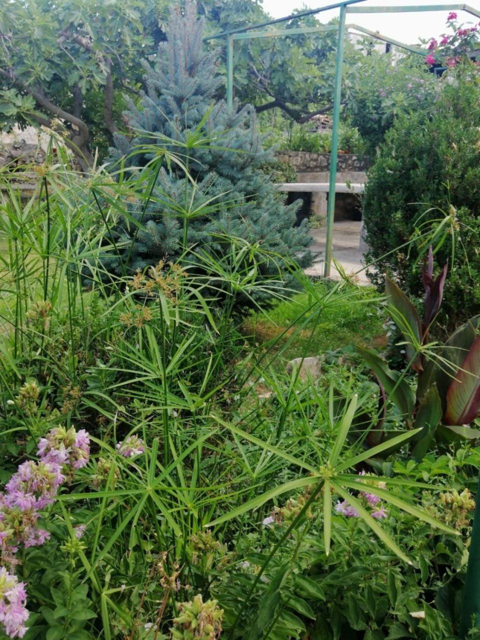 מרינה Apartment Anka מראה חיצוני תמונה